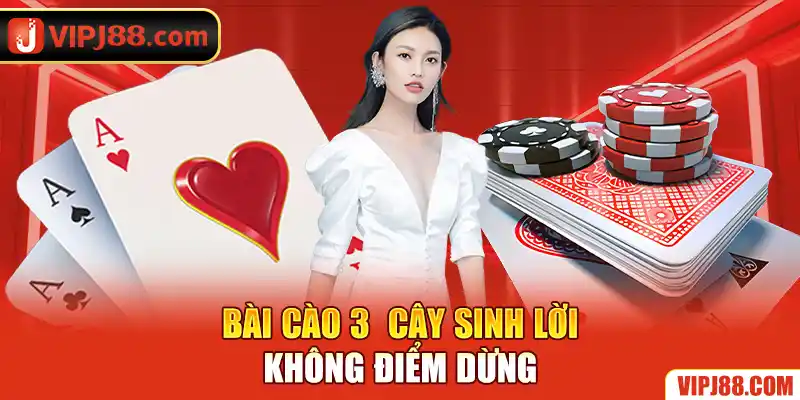 Bài cáo 3 cây sinh lời không điểm dừng