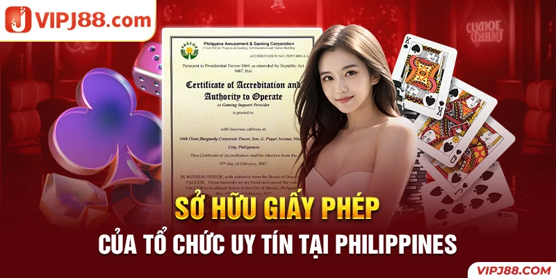 Mục đích của Philippine Amusement and Gaming Corporation