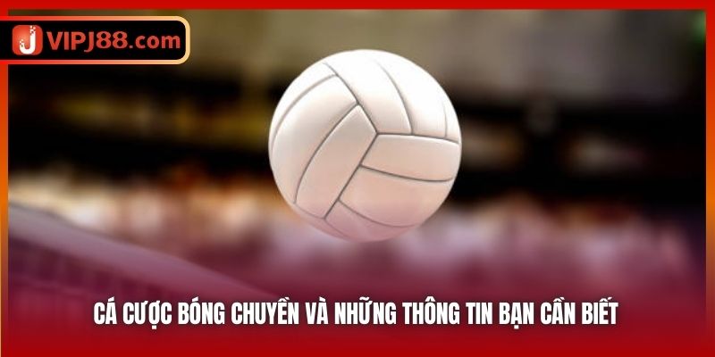 Cá Cược Bóng Chuyền Và Những Thông Tin Bạn Cần Biết