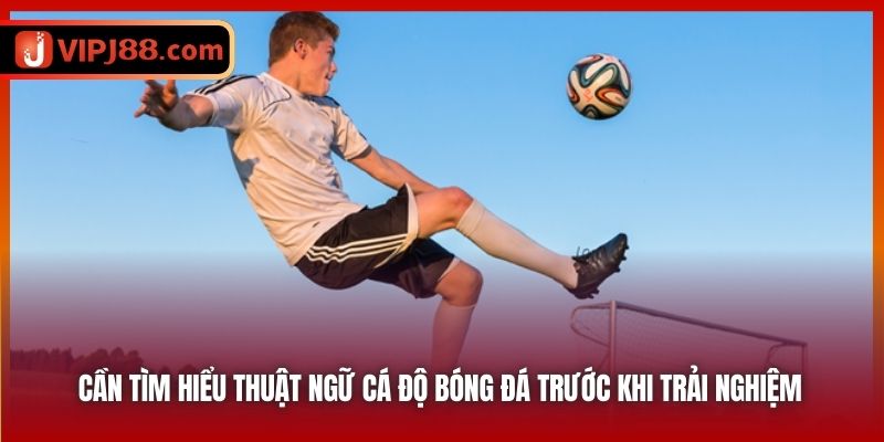 Cần tìm hiểu thuật ngữ cá độ bóng đá trước khi trải nghiệm