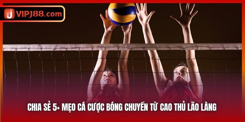 Chia sẻ 5+ mẹo cá cược bóng chuyền từ cao thủ lão làng