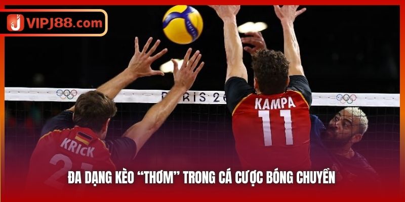 Đa dạng kèo “thơm” trong cá cược bóng chuyền