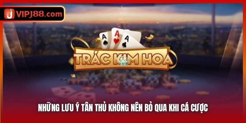 Những lưu ý tân thủ không nên bỏ qua khi cá cược