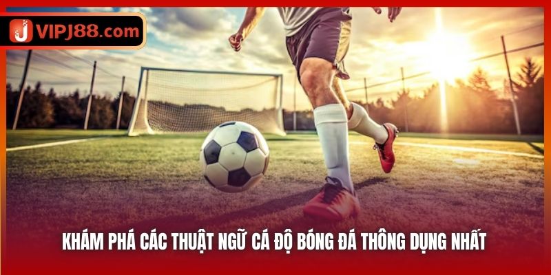 Khám Phá Các Thuật Ngữ Cá Độ Bóng Đá Thông Dụng Nhất