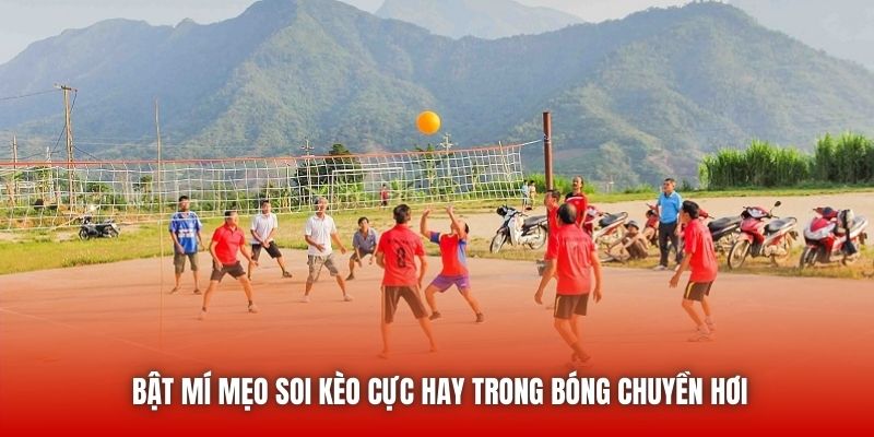 Bật mí mẹo soi kèo cực hay trong bóng chuyền hơi