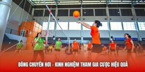 Bóng Chuyền Hơi - Kinh Nghiệm Tham Gia Cược Hiệu Quả
