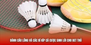 Đánh Cầu Lông Và Các Bí Kíp Cá Cược Sinh Lời Cho Bet Thủ