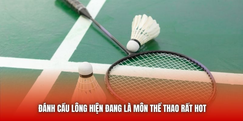Đánh cầu lông hiện đang là môn thể thao rất hot