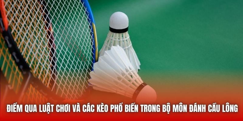 Điểm qua luật chơi và các kèo phổ biến trong bộ môn đánh cầu lông