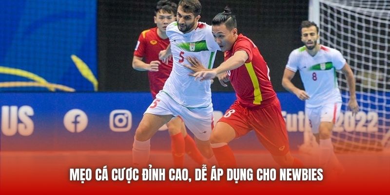 Mẹo cá cược đỉnh cao, dễ áp dụng cho newbies