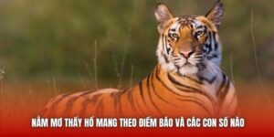 Nằm Mơ Thấy Hổ Mang Theo Điềm Báo Và Các Con Số Nào