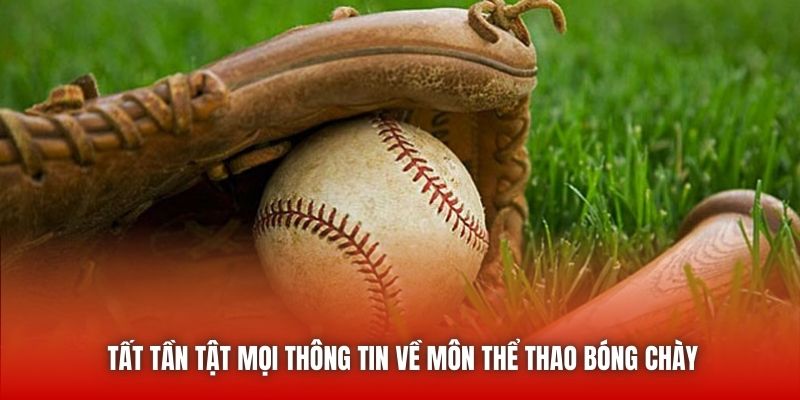 Tất tần tật mọi thông tin về môn thể thao bóng chày