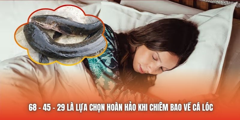 68 - 45 - 29 là lựa chọn hoàn hảo khi chiêm bao về cá lóc