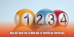 Mẹo Bắt Bạch Thủ Lô Miền Bắc Từ Chuyên Gia Truyền Đạt