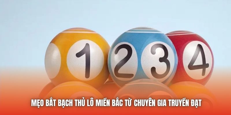 Mẹo Bắt Bạch Thủ Lô Miền Bắc Từ Chuyên Gia Truyền Đạt