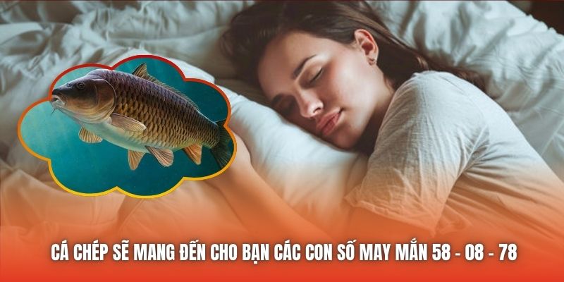 Cá chép sẽ mang đến cho bạn các con số may mắn 58 - 08 - 78