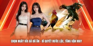 Chọn Ngày Vía Gà Đá Ăn | Bí Quyết Rước Lộc, Tăng Vận May