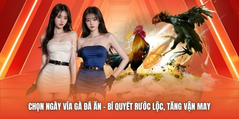 Chọn Ngày Vía Gà Đá Ăn | Bí Quyết Rước Lộc, Tăng Vận May