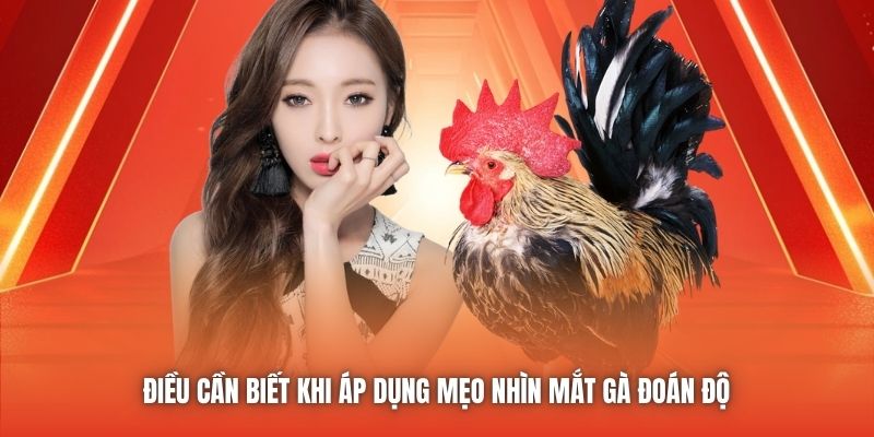 Điều cần biết khi áp dụng mẹo nhìn mắt gà đoán độ