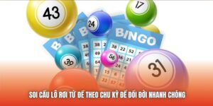 Soi Cầu Lô Rơi Từ Đề Theo Chu Kỳ Để Đổi Đời Nhanh Chóng