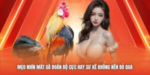 Mẹo Nhìn Mắt Gà Đoán Độ Cực Hay Sư Kê Không Nên Bỏ Qua