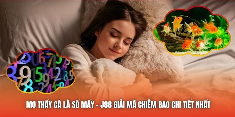 Mơ Thấy Cá Là Số Mấy - J88 Giải Mã Chiêm Bao Chi Tiết Nhất