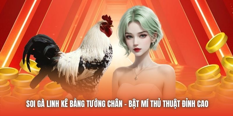 Soi Gà Linh Kê Bằng Tướng Chân - Bật Mí Thủ Thuật Đỉnh Cao
