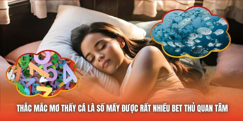 Thắc mắc mơ thấy cá là số mấy được rất nhiều bet thủ quan tâm