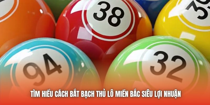 Tìm hiểu cách bắt bạch thủ lô miền Bắc siêu lợi nhuận