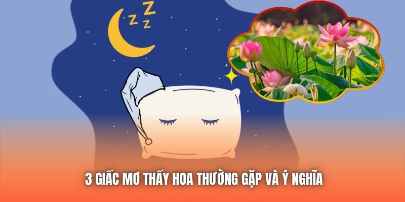 3 giấc mơ thấy hoa thường gặp và ý nghĩa